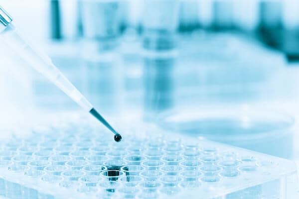 PCR Lab